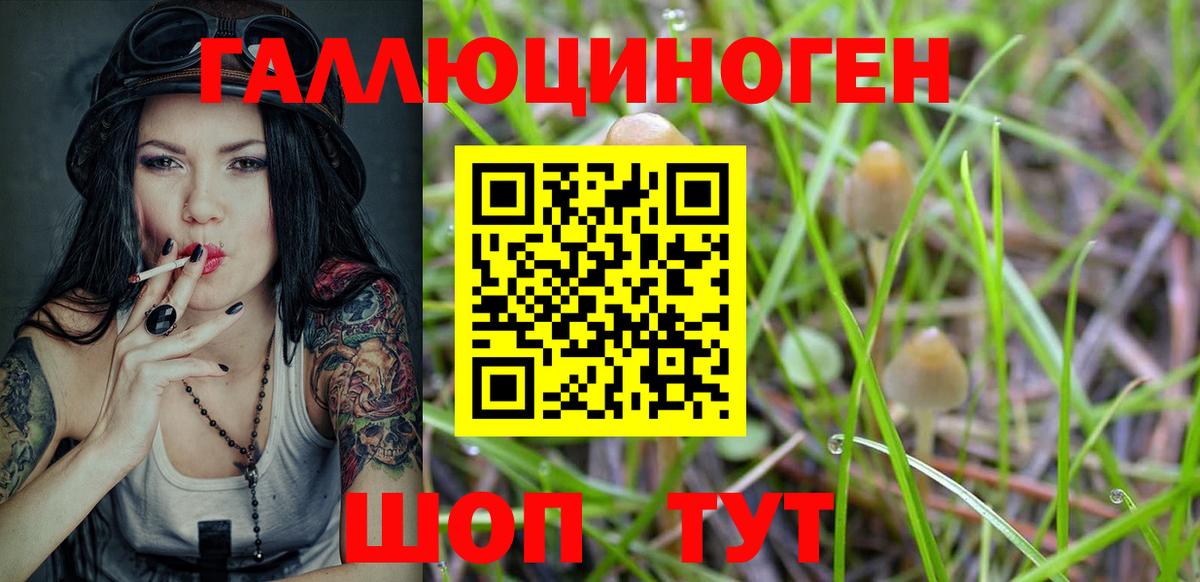 Вязники  Галлюциногенные грибы Cubensis  Вход с VPN 
